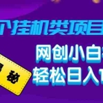 (14168期)揭秘20种挂机类项目玩法,网创小白福利轻松日入1000+