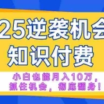 (14166期)2025逆袭项目——知识付费,小白也能月入10万年入百万,抓住机会彻底翻…
