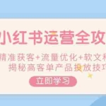 (14207期)小红书运营全攻略,精准获客+流量优化+软文种草,揭秘高客单产品投放技巧