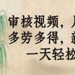 (14202期)审核视频,几秒一单,多劳多得,新人小白一天轻松300+