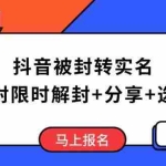 (14195期)抖音被封转实名攻略,永久封禁也能限时解封,分享解封后高效选品技巧