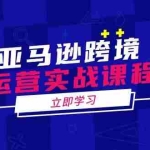 (14188期)亚马逊跨境运营实战课程:涵盖亚马逊运营、申诉、选品等多个方面