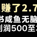 (14183期)最赚钱项目之一,2025爆火,逆风翻盘!