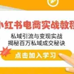 (14215期)小红书电商实战教程:私域引流与变现实战,揭秘百万私域成交秘诀