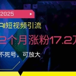 (14213期)2025AI短视频引流,2个月涨粉17.2万,不死号,可放大
