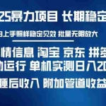 (14244期)暴力项目舆情信息 淘宝 京东 拼多多 抖音全自动运行 单机日入200+ 实现…