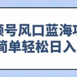 (14276期)视频号风口蓝海项目,操作简单轻松日入500+