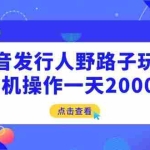 (14319期)抖音发行人野路子玩法,手机操作一天2000+