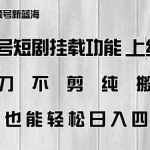 (14310期)视频号短剧挂载功能上线,一刀不剪纯搬运,小白也能轻松日入四位数