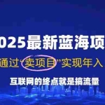 (14305期)2025最新蓝海项目,零门槛轻松复制,月入10万+,新手也能操作!