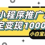 (14298期)25年最新风口,小程序自动推广,,稳定日入1000+,小白轻松上手