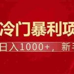 (14366期)项目名称:每天一小时,轻松到手1000,冷门赚钱项目!