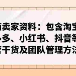 (14354期)电商卖家资料:包含淘宝、拼多多、小红书、抖音等运营干货及团队管理方法