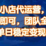 14336期)快手小店代运营,提供账号即可,团队全程操盘,单日稳定变现800+
