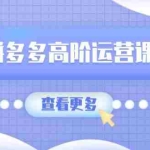 (14327期)拼多多高阶运营课:极致群爆款玩法,轻付费无尽复制,打造单品爆款之路