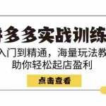 (14392期)拼多多实战训练营,从入门到精通,海量玩法教程,助你轻松起店盈利