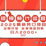 (14377期)2025最新风口项目:短视频代运营日入2000+
