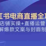 (14410期)小红书电商直播全攻略,店铺实操+直播运营,详解爆款文案与封面制作