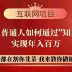 (14466期)【网创项目终点站-镰刀训练营超级IP合伙人】25年普通人如何通过“知识…