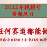 (14453期)2025年视频号新风口,低门槛只需要无脑执行
