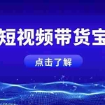 (14500期)AI短视频带货宝典,智能生成话术,矩阵账号运营思路全解析!
