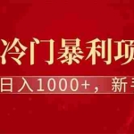 (14495期)全新项目,每天被动收益1000+,长期管道收益!