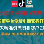 (14484期)小红书、抖音、视频号全域多平台引流获客,日引目标客户200+,RPA自动…