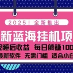 (14478期)2025最新挂机躺赚项目 一台电脑轻松日入500
