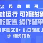 (14560期)最新沃尔玛平台采集 全自动运行 可矩阵单机实测500+ 操作简单