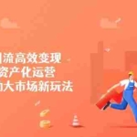 (14555期)低成本引流高效变现,个人IP资产化运营,小团队撬动大市场新玩法