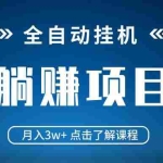 (14551期)全自动挂机项目 月入3w+ 真正躺平项目 不吃电脑配置 当天见收益