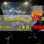 (14135期)抖音EMO自热流创业粉打法,三天起千粉号,单视频十万播放量,多账号矩…