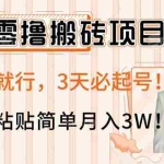 (14134期)AI零撸搬砖项目玩法,有手就行,3天必起号,复制粘贴简单月入3W!