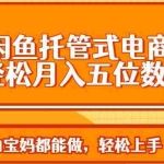 （14132期）全自动闲鱼托管式电商带货 轻松实现月入五位数