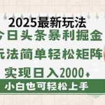 (14120期)今日头条2025最新玩法,思路简单,复制粘贴,轻松实现矩阵日入2000+