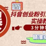 （14148期）轻松制作创业类视频，不违规、不封号，可矩阵批量发布，一天被动加精准…