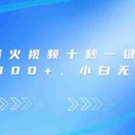 （14181期）视频号爆火视频十秒一键生成，日入3000+，小白无脑操作