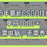 （14178期）25年最新CSGO挂机系统，单日1000+，无需电脑，无需养号，0基础可上手