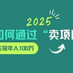 （14176期）2025年如何通过“卖项目”实现年入100万