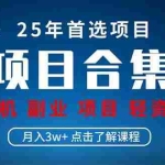 （14175期）2025 实操项目合集 挂机类型 直播类型 轻资产创业类型 课程分享各项目…