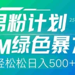 （14174期）25年新男粉计划绿色暴力项目轻轻松松日收500+