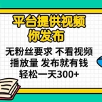 （14171期）平台提供视频 你发布 无粉丝要求 不看视频播放量 发布就有钱 轻松一天300+