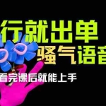 (14170期)爆火全网的开车导航骚气语音包,只要执行就出单,小白看完课程就能实操…