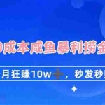 (14257期)0成本闲鱼暴利捞金,1个月狂赚10W+,秒发秒赚新玩法