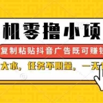 （14254期）手机零撸小项目，复制粘贴抖音广告即可赚钱，平台大水，任务不限量，一…