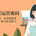 （14248期）京东慧采运营密码：从理论到实操，从基础搭建到高级运营，助力商家腾飞