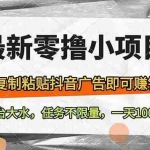 （14230期）最新零撸小项目，复制粘贴抖音广告即可赚钱，平台大水，任务不限量，一…