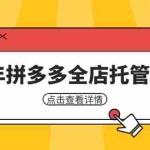 （14222期）25年拼多多全店托管玩法，矩阵动销裂变玩法如何低风险盈利 新手运营秘籍