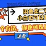 （14221期）闲鱼卖二手手机，小白也可以轻松上手，学会这个方法，你也可以日入800+