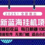 (14216期)2025最新挂机躺赚项目 一台电脑轻松日入500
